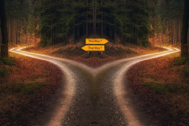 decision, path, signpost, funding options