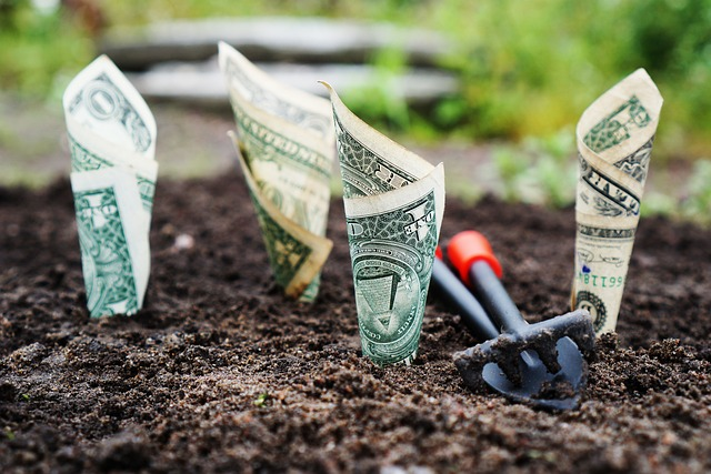 money, grow, interest, calculating annual percentage yield
